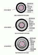 PTYA,PTYA23,PTYA22鐵路信號(hào)電纜